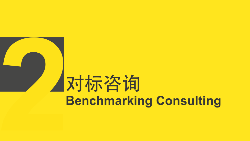 02.Benchmarking Consulting.1